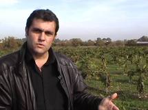 DOSSIER PAYSUD TV-Le changement climatique pourrait déstabiliser la viticulture mondiale