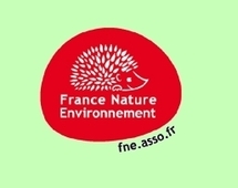 Le maïs ogm Mon 810 reste suspendu, mais jusqu'à quand? Le maïs ogm Mon 810 reste suspendu, mais jusqu'à quand?