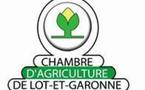 Le concours des vins et produits de Lot-et-Garonne