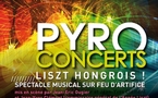 Feu d'artifice sur l'année Liszt Parc André Citroën à Paris