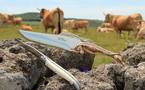 Un nouveau couteau de Laguiole: quand le "Toro" s'élance...
