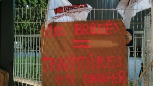 Gironde:les viticulteurs contre les prix "cassés"