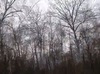 Et voici le vent cornant décembre