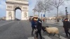 Folies béarnaises: répétition sur les Champs-Elysées