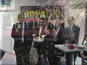 Bordeaux fête le vin 2012.wmv