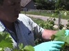 Dossier Tech & Bio Aquitaine:comment réussir en viticulture biologique