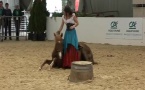 Poney Show au Salon