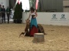 Poney Show au Salon