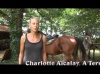 A la découverte des vignes et des châteaux du Saint-Emilionnais avec A Terre à Cheval