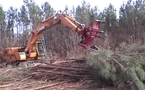 LGV Tours-Bordeaux: coupes d'envoi  dans les forêts sud charentaises