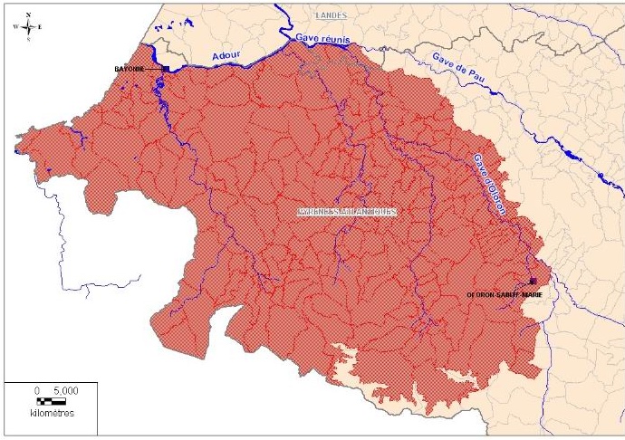Viande de porc et jambon basques: leur nom est Kintoa Viande de porc et jambon basques: leur nom est Kintoa