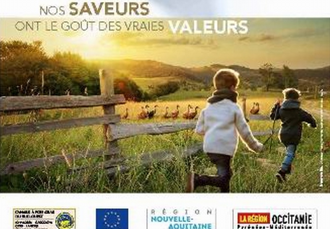 Nouvelle-Aquitaine et Occitanie communiquent sur le canard à foie gras