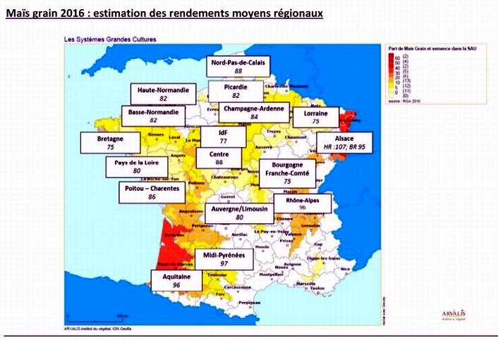 Le maïs français redresse la tête