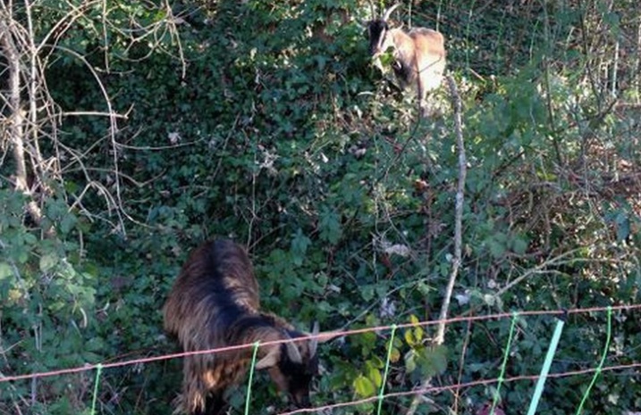 Ph Conseil Régional Nouvelle-Aquitaine Ph Conseil Régional Nouvelle-Aquitaine