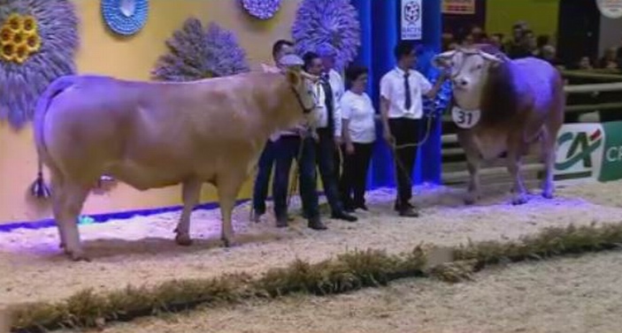 Salon de l'agriculture:moments forts pour la Nouvelle-Aquitaine