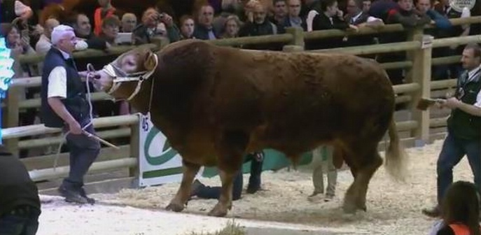 Salon de l'agriculture:moments forts pour la Nouvelle-Aquitaine