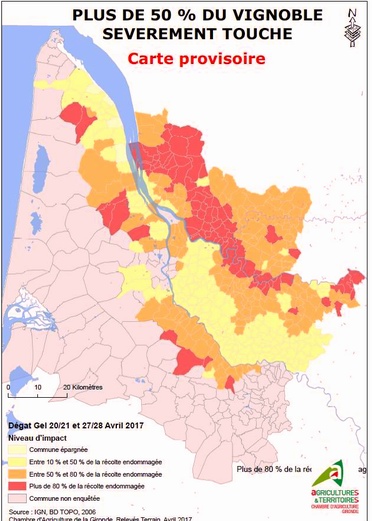 Gel en Gironde:le point avec la chambre d'agriculture