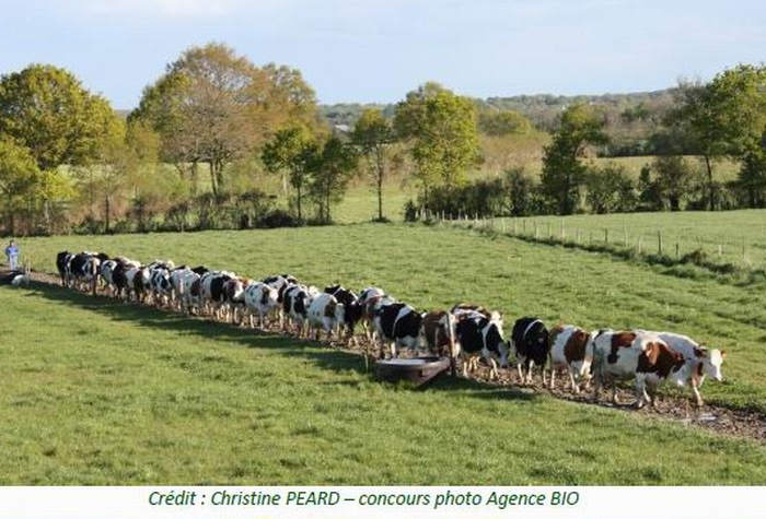 L'agriculture bio vit son printemps