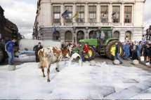 Grève européenne du lait: les raisons de la colère Grève européenne du lait: les raisons de la colère