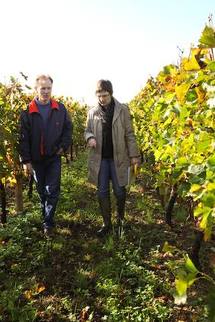 La Gironde viticole se met au bio La Gironde viticole se met au bio