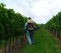 Les bonnes pratiques de la chambre d'agriculture de Gironde