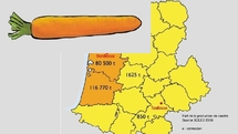 Producteurs de fruits, de légumes, et de tabac broient du noir