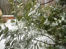 Janvier pas chaud: la neige gagne du terrain