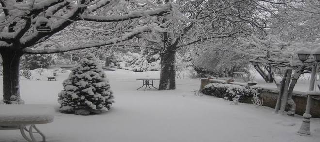 Un parc sous la neige près d'Orange Un parc sous la neige près d'Orange