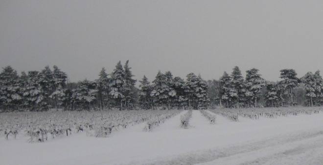 Toujours de la neige de la Provence au Quercy