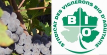 La grogne des vignerons bios d'Aquitaine