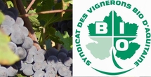 La grogne des vignerons bios d'Aquitaine La grogne des vignerons bios d'Aquitaine