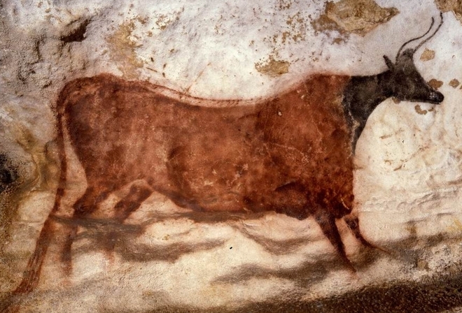 Visite virtuelle de Lascaux (cliquer sur la photo) Visite virtuelle de Lascaux (cliquer sur la photo)