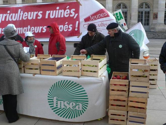 La crise de la pomme en scène à Bordeaux