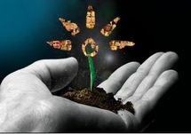 Euralis Vigne et les pesticides: le moins 50% presque impossible Euralis Vigne et les pesticides: le moins 50% presque impossible