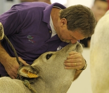 Salon de l'Agriculture d'Aquitaine: la vache dans tous ses états Salon de l'Agriculture d'Aquitaine: la vache dans tous ses états