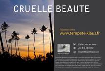 La carte postale annonce de l'expostion D. Narbeburu La carte postale annonce de l'expostion D. Narbeburu
