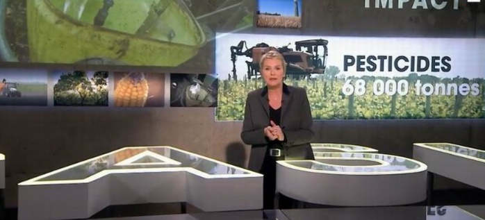 Elise Lucet ouvre le dossier... à charge (capture d'écran)