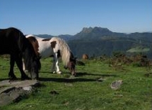 Comment "juilleter" malin en terre et côte basques Comment "juilleter" malin en terre et côte basques