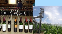 Entre vin et eau le ton monte du côté des agriculteurs Entre vin et eau le ton monte du côté des agriculteurs