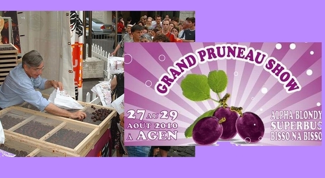 Pruneau d'Agen: Grand show et grosse récolte