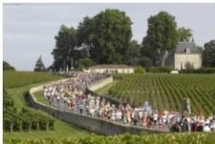 Le marathon du Médoc en direct sur  France 3 Aquitaine