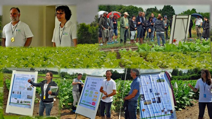 Les journées portes ouvertes (montage ph RD) Les journées portes ouvertes (montage ph RD)