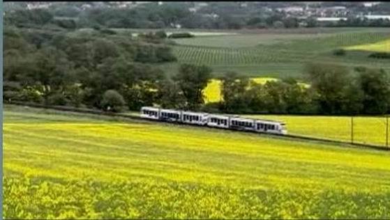 L'ONF va gérer les espaces verts de Réseau Ferré de France