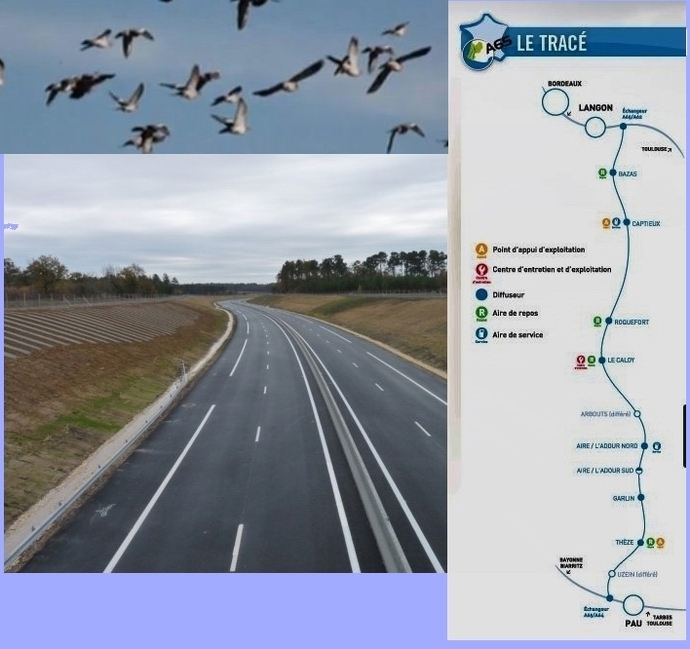Ouverture de l'autoroute A65: les palombes vont-elles aimer ça? Ouverture de l'autoroute A65: les palombes vont-elles aimer ça?