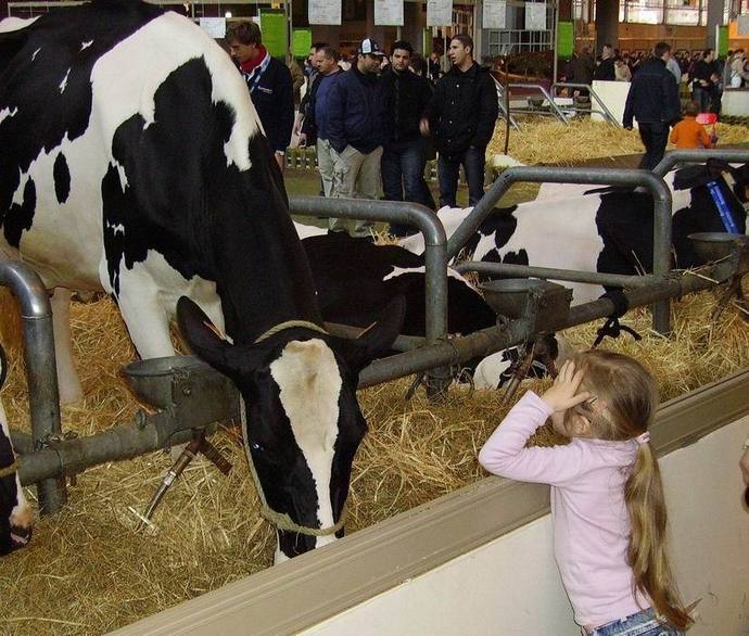 L'Aquitaine fait salon à Paris pendant une semaine