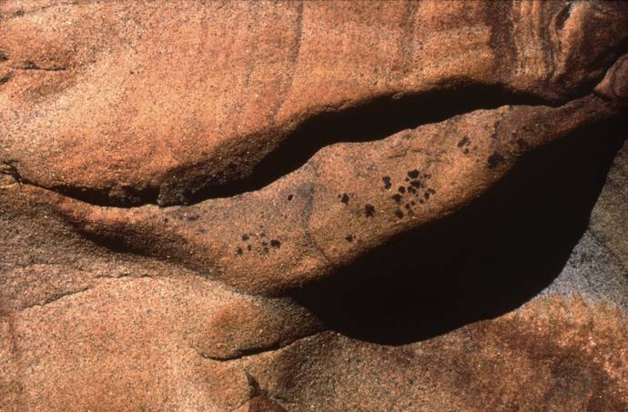 Bouche d'ombre Point Lobos (ph Lucien Clergue)