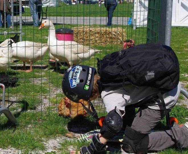 Les métiers de l'agriculture à quai à Bordeaux