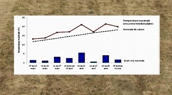 La sécheresse de printemps booste la consommation de certains produits La sécheresse de printemps booste la consommation de certains produits