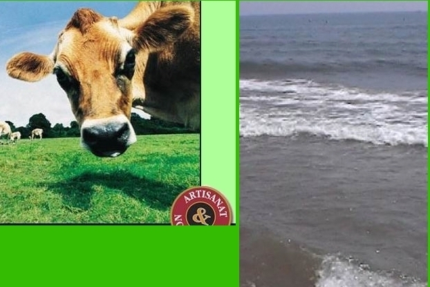 Ph: Montage Paysud Ph: Montage Paysud