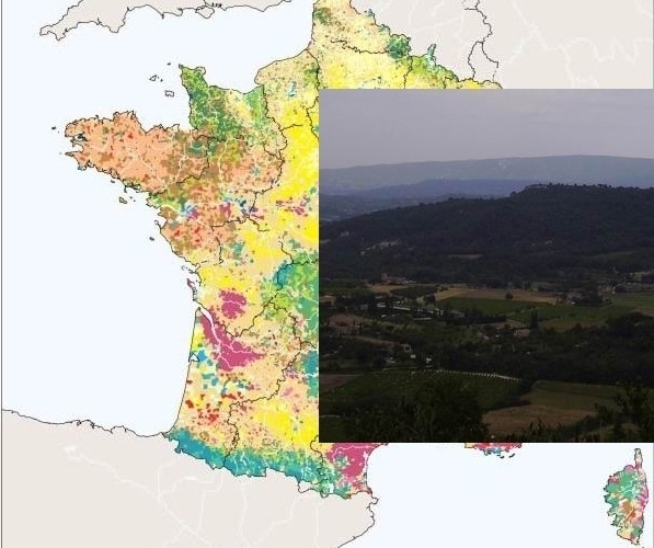 Les chiffres de l'agriculture: la France perd toujours ses paysans